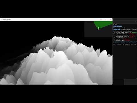 Video 2