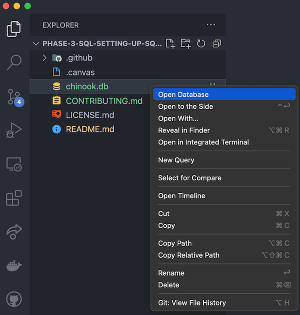 Opening a database in SQLite Extension