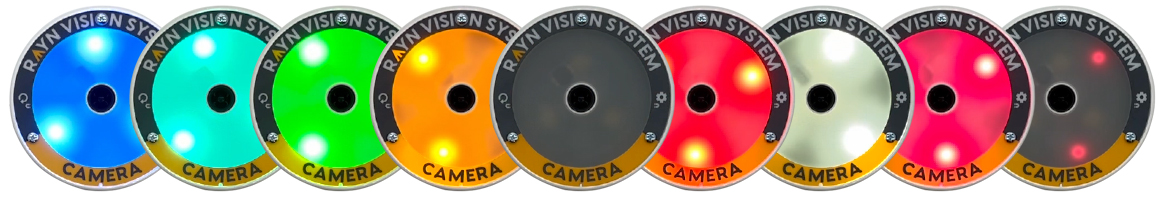 RAYN Vision System Camera