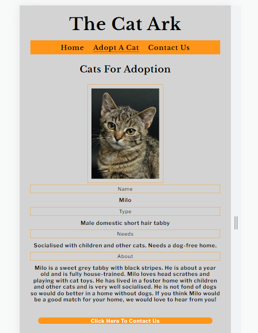 Screenshot of Cats for Adoption Page