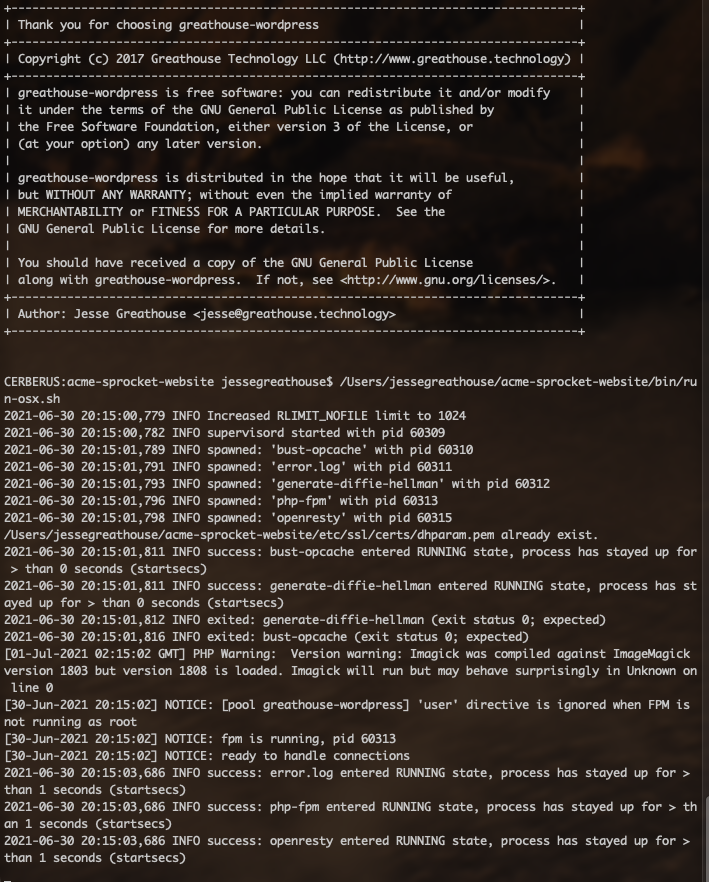 Run script output to console