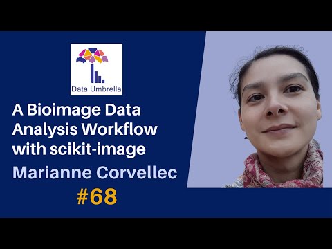 Marianne Corvellec: A Bioimage Data Analysis Workflow with scikit-image
