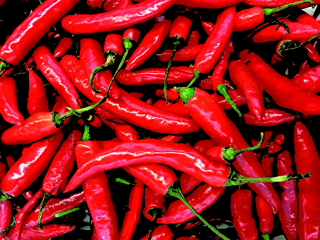 red chillies for texture background