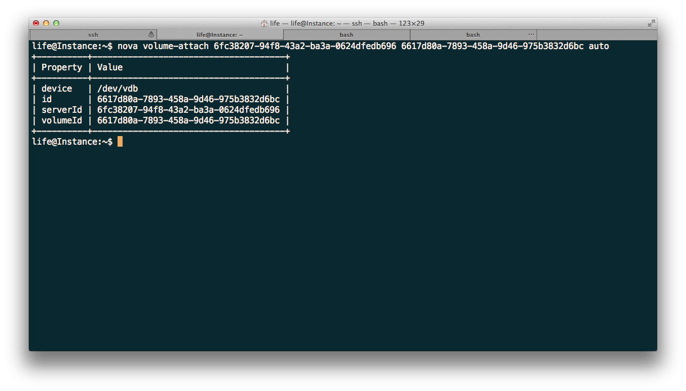 nova-attatch-volume-to-instance