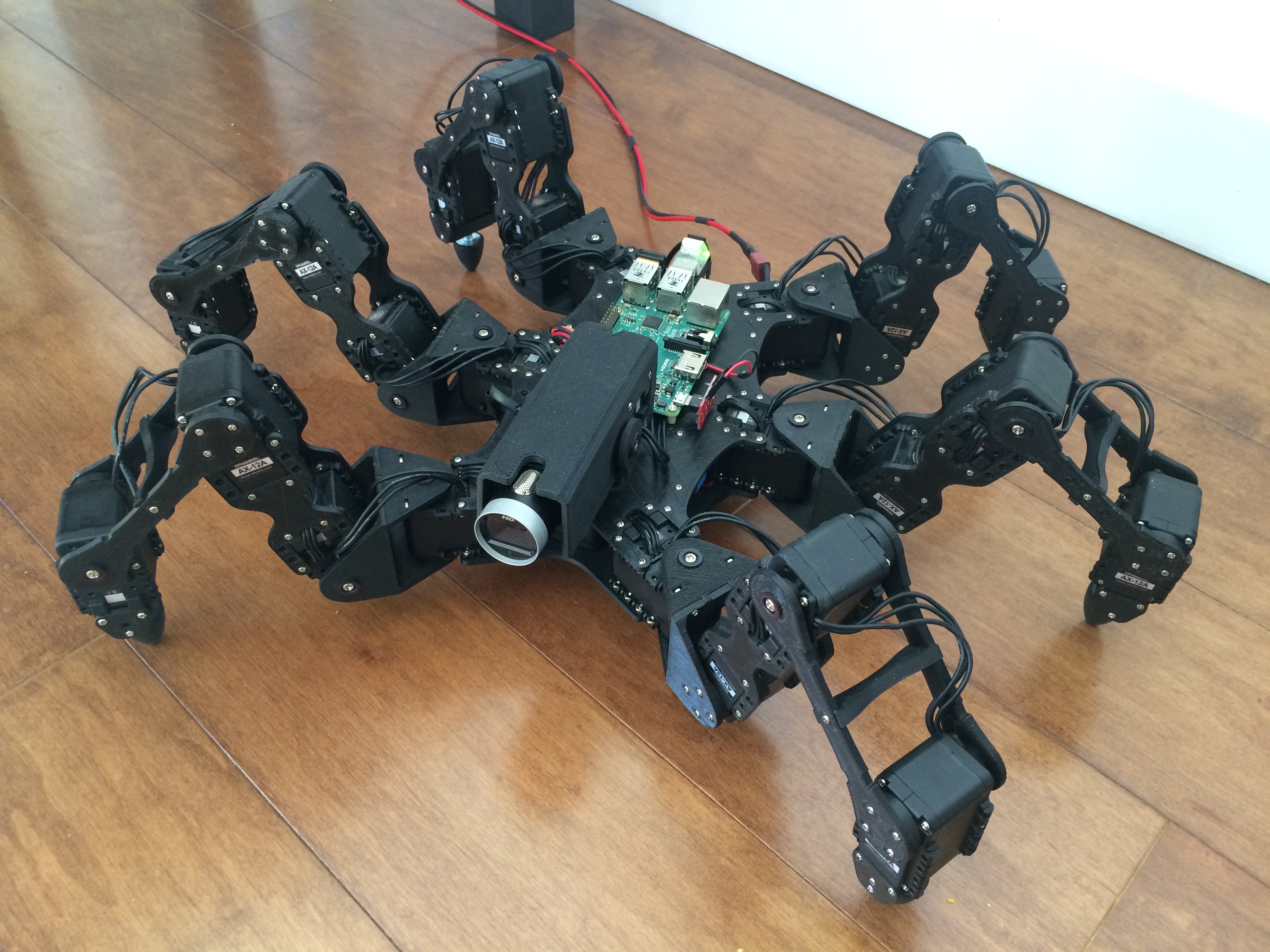 hexapod photo