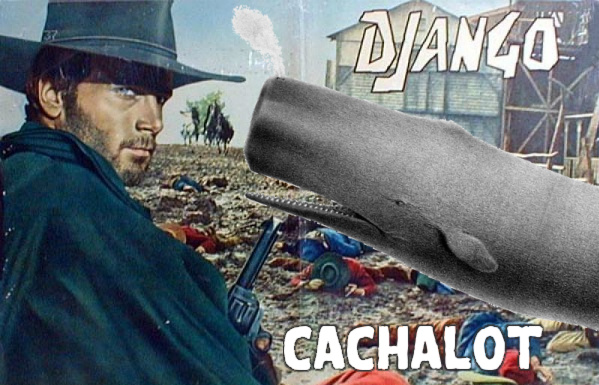 https://raw.github.hscsec.cn/BertrandBordage/django-cachalot/master/django-cachalot.jpg