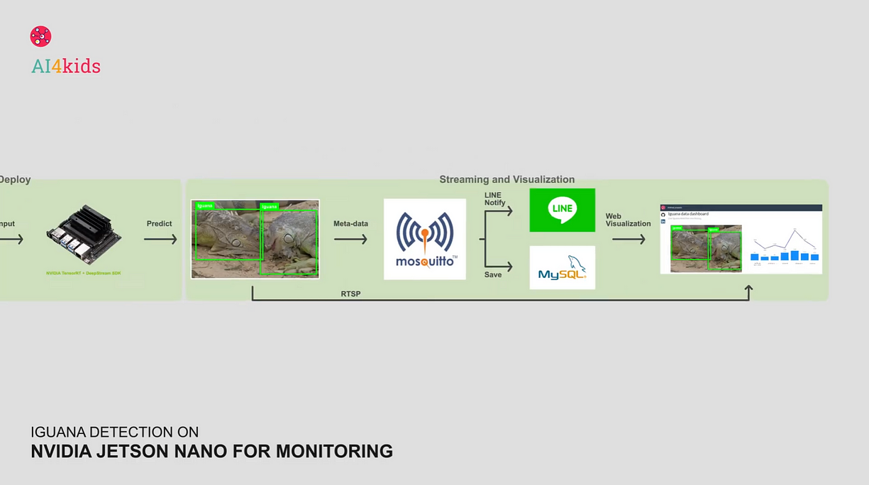 Iguana detection and monitoring system architecture
