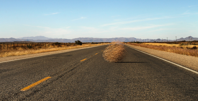 tumbleweed