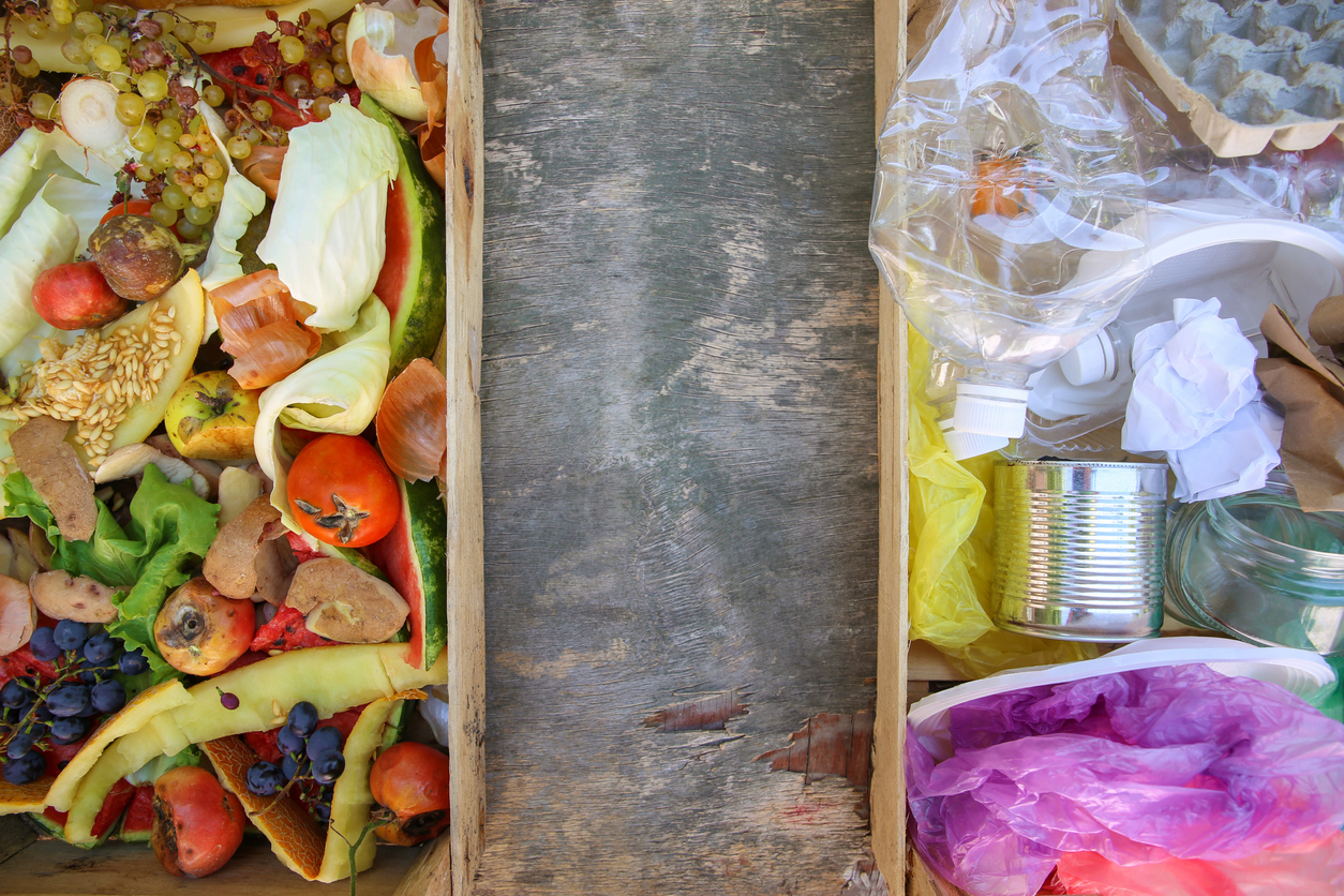 food-waste image