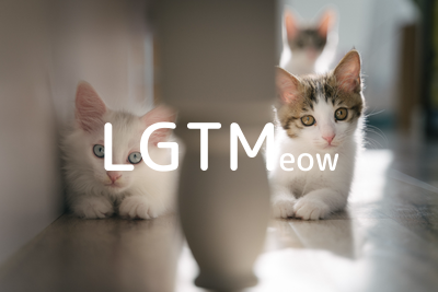 LGTMeow