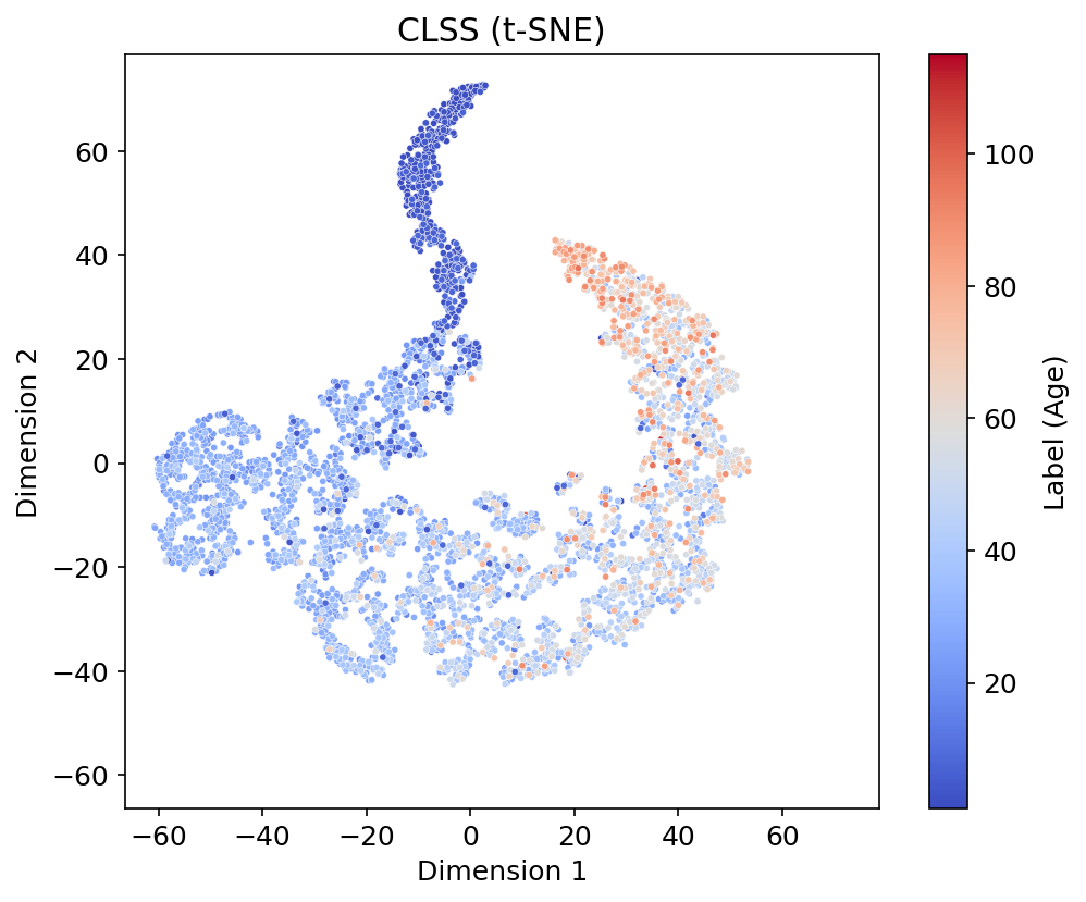 CLSS t-SNE