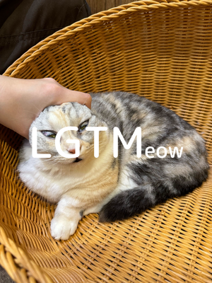 LGTMeow