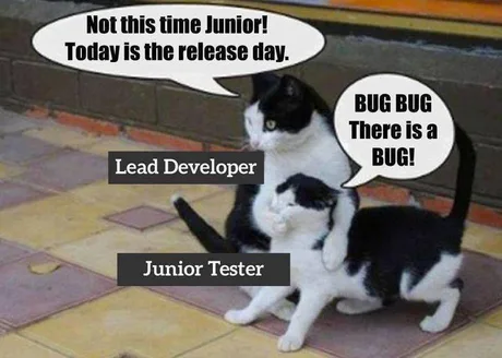 Junior Tester