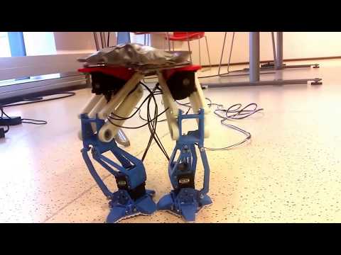 A youtube video of the working robot