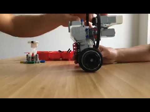 Two Way Inverted Pendulum Robot Assembly