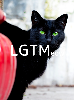 LGTMeow