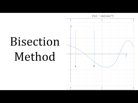 Bisection video