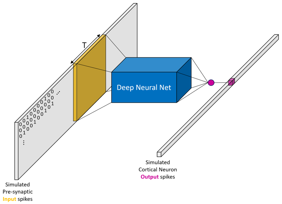 fitting TCN to single neurons