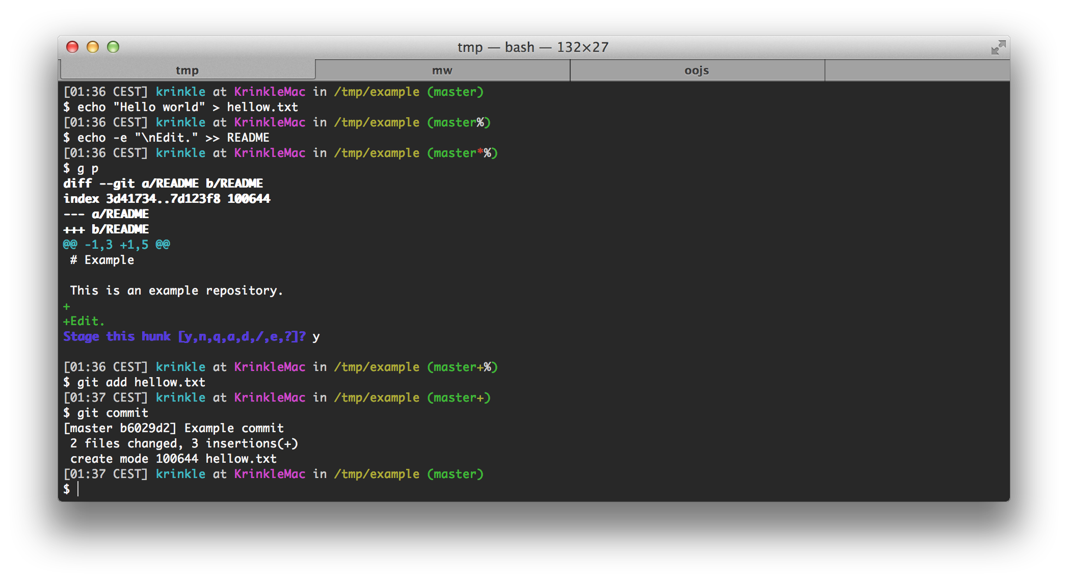 Screenshot of Git prompt