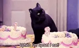 Hungry Sabrina The Teenage Witch GIF via gif-database.tumblr.com