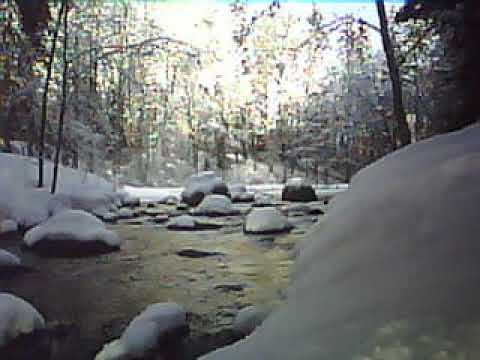 Demo video