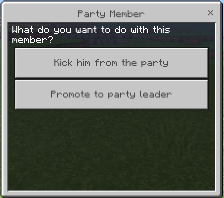 Party Member