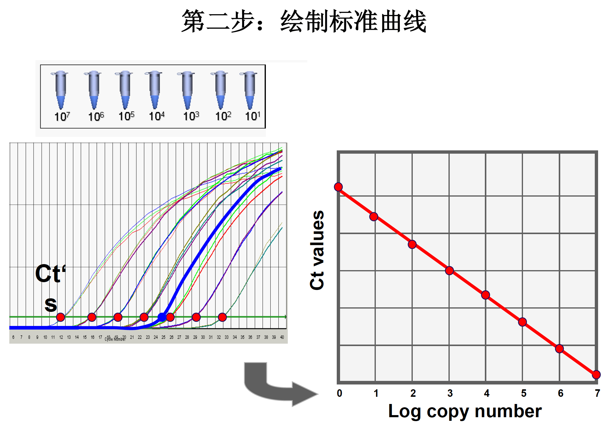 标准曲线