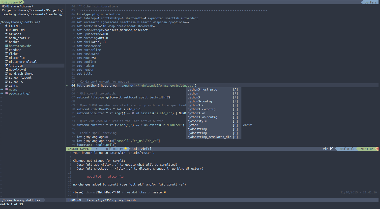 Screenshot of neovim and terminal prompt in neovim terminal