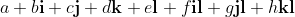 a+b\mathbf{i}+c\mathbf{j}+d\mathbf{k}+e\mathbf{l}+f\mathbf{il}+g\mathbf{jl}+h\mathbf{kl}