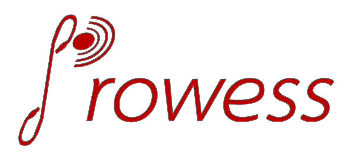 PROWESS Logo