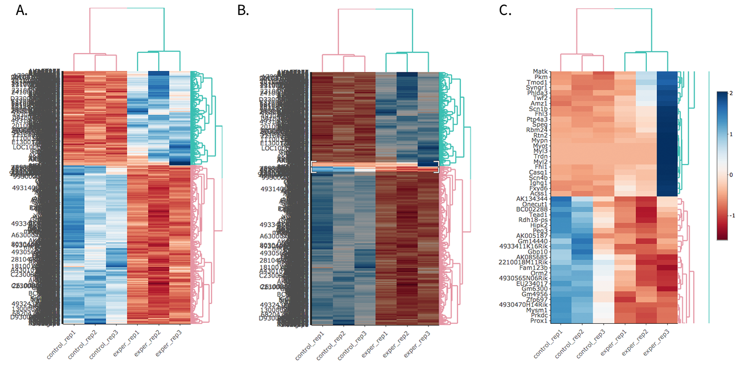 Figure 16. interactive heatmap