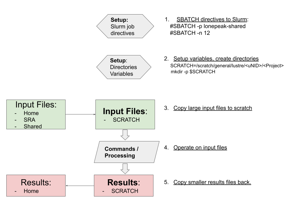 General Batch Script Process