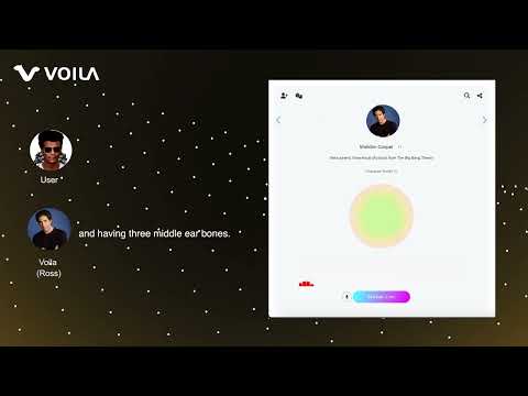 Voila Demo