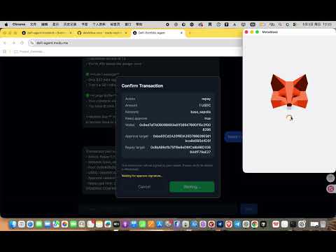 Demo Video