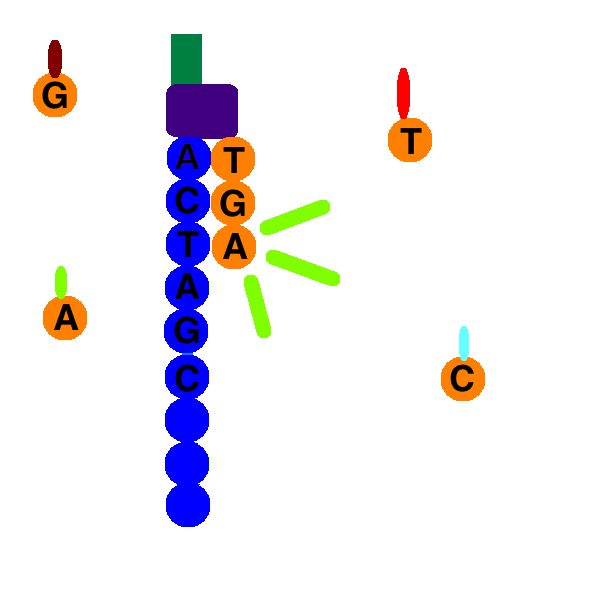 Sequence_By_Synthesis