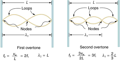 First and second overtones are shown.