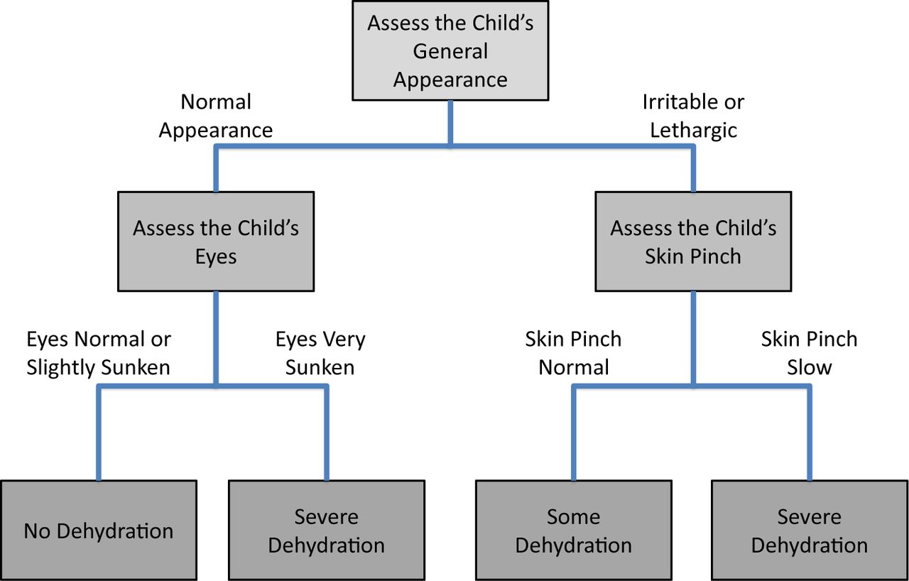 Algorithm Flow