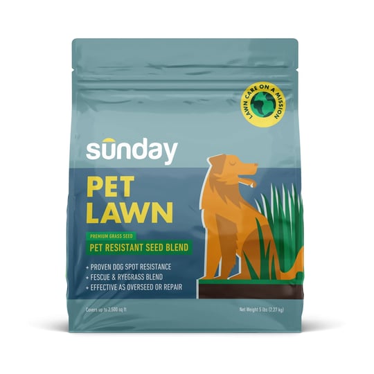 pet-lawn-grass-seed-sunday-1