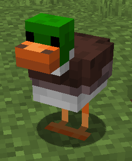 Duck