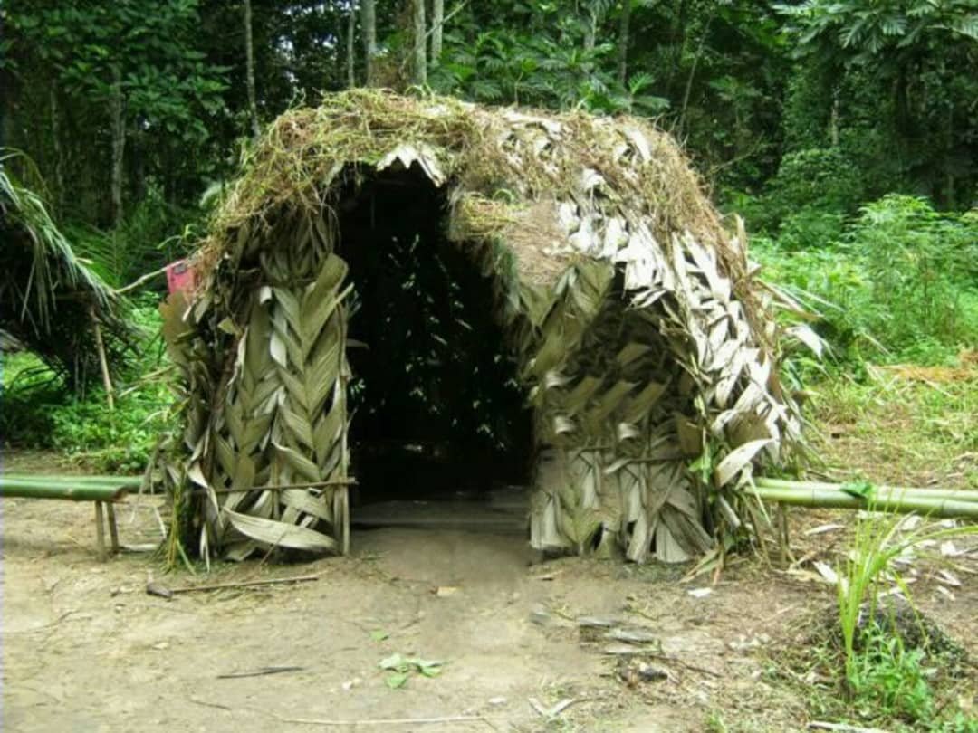 Cabana do povo Bagyeli, África equatorial. Foto: Nadnad30, 2015