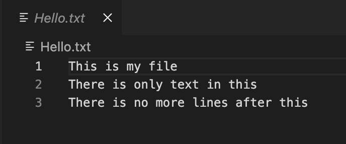 Text File
