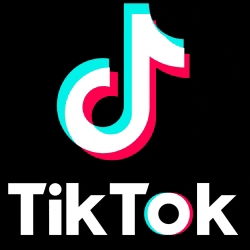 Tik Tok Logo