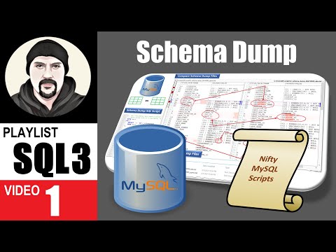 Overview Video