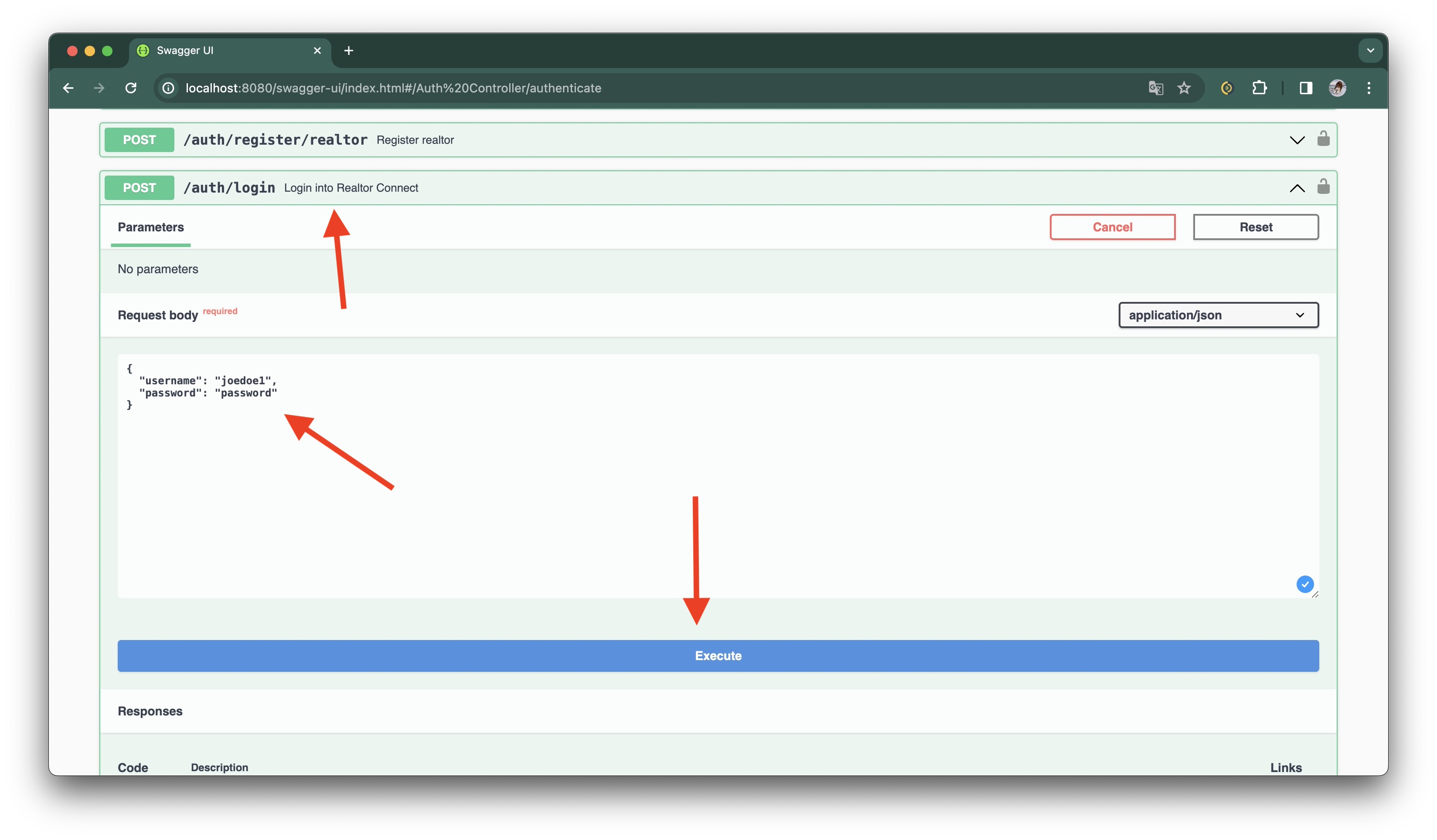 auth-login-endpoint