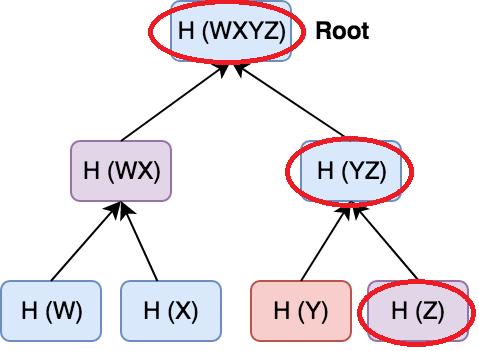 Merkle Root