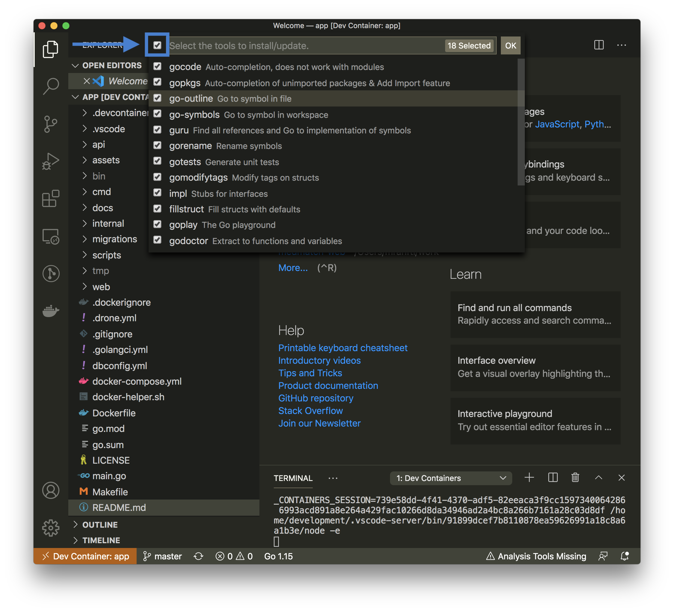 vscode devcontainer