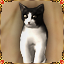 Achievement badge icon