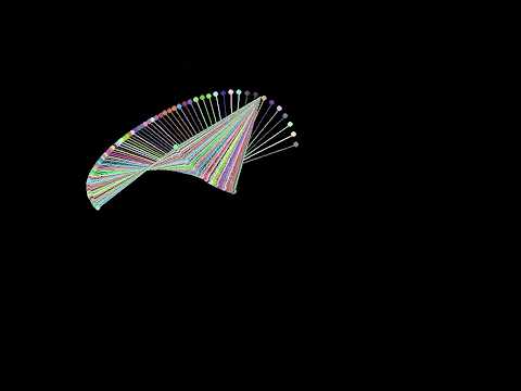 100 Double Pendulums