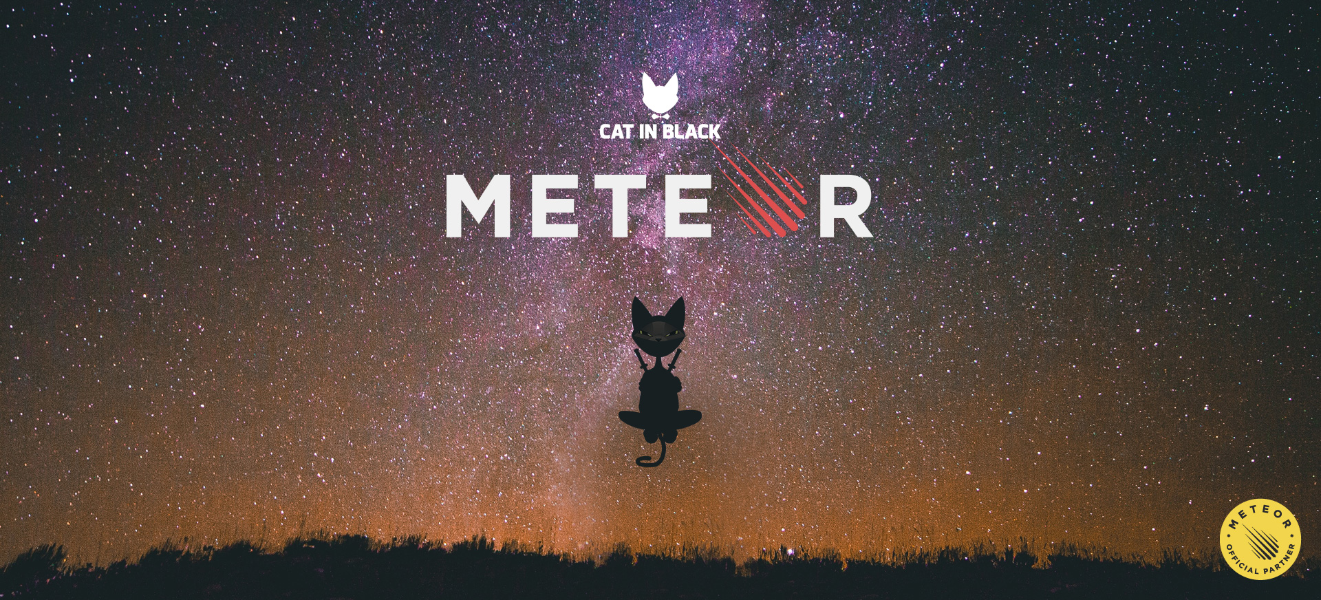 Cat In Black Meteor