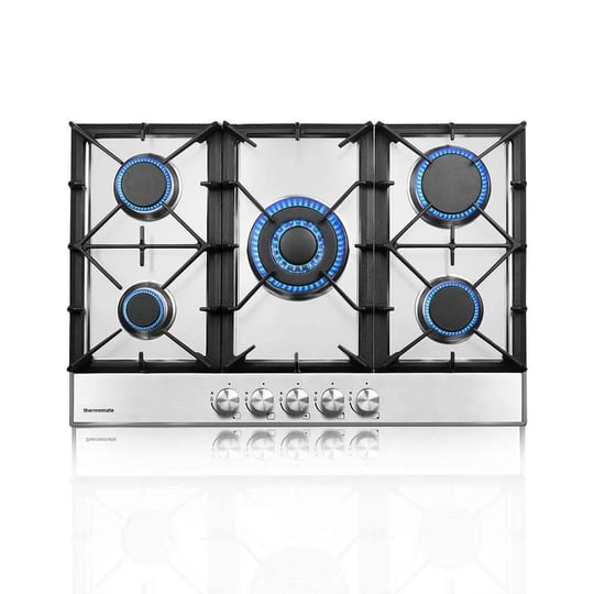 thermomate-30-in-built-in-lpg-natural-gas-cooktop-in-stainless-steel-with-5-sealed-burners-1